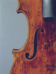Violon Amati